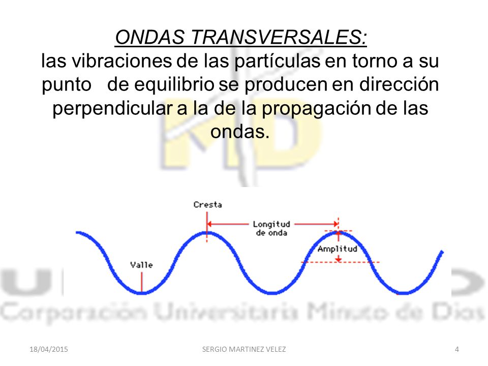 ONDAS TRANSVERSALES: las vibraciones de las partículas en torno a su punto de equilibrio se producen en dirección perpendicular a la de la propagación de las ondas.