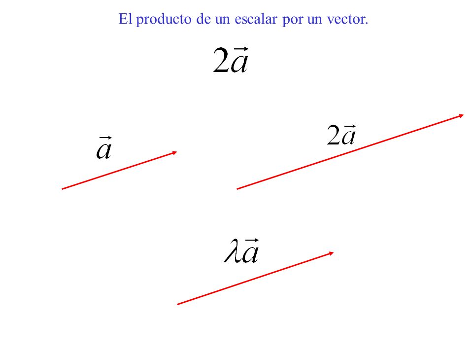 El producto de un escalar por un vector.