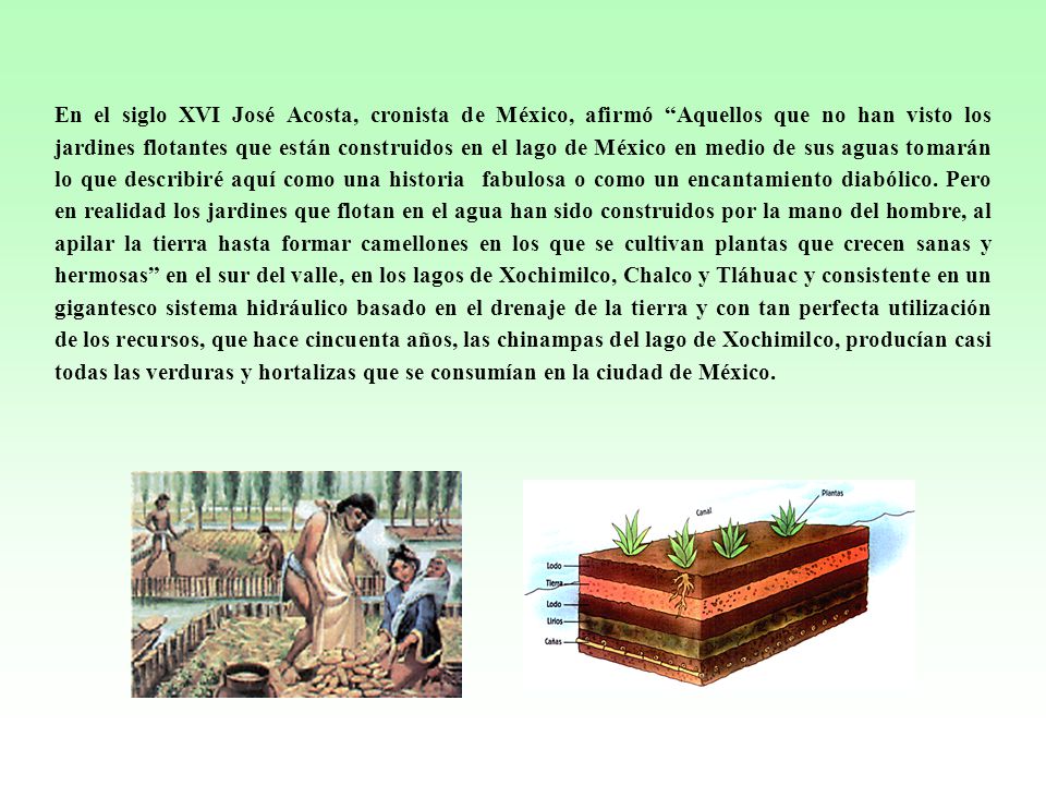 En el siglo XVI José Acosta, cronista de México, afirmó Aquellos que no han visto los jardines flotantes que están construidos en el lago de México en medio de sus aguas tomarán lo que describiré aquí como una historia fabulosa o como un encantamiento diabólico.