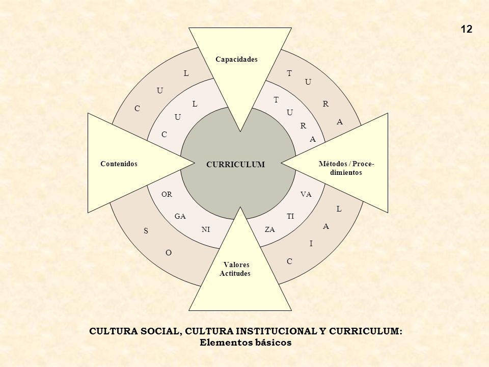 CULTURA SOCIAL, CULTURA INSTITUCIONAL Y CURRICULUM: