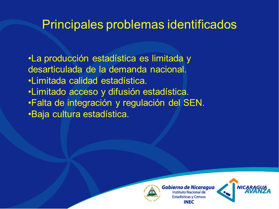 Principales problemas identificados