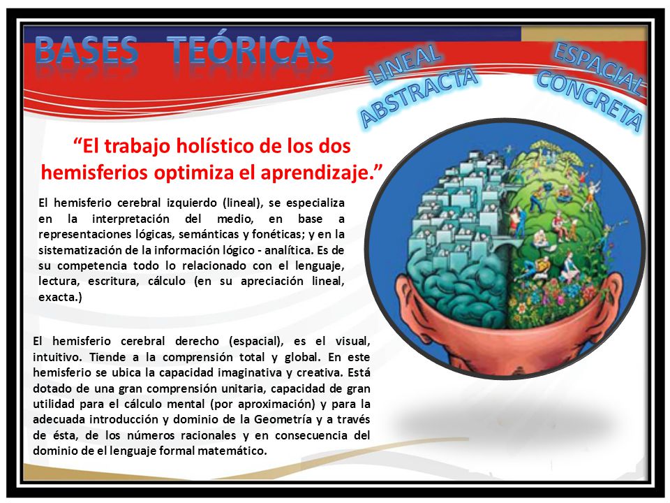 El trabajo holístico de los dos hemisferios optimiza el aprendizaje.