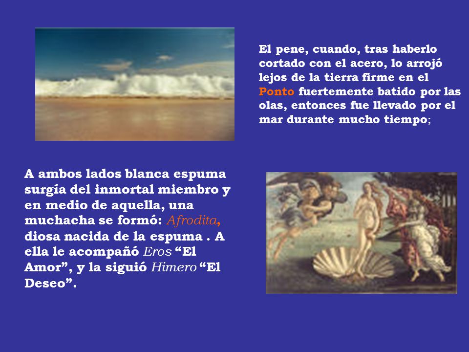 El pene, cuando, tras haberlo cortado con el acero, lo arrojó lejos de la tierra firme en el Ponto fuertemente batido por las olas, entonces fue llevado por el mar durante mucho tiempo;