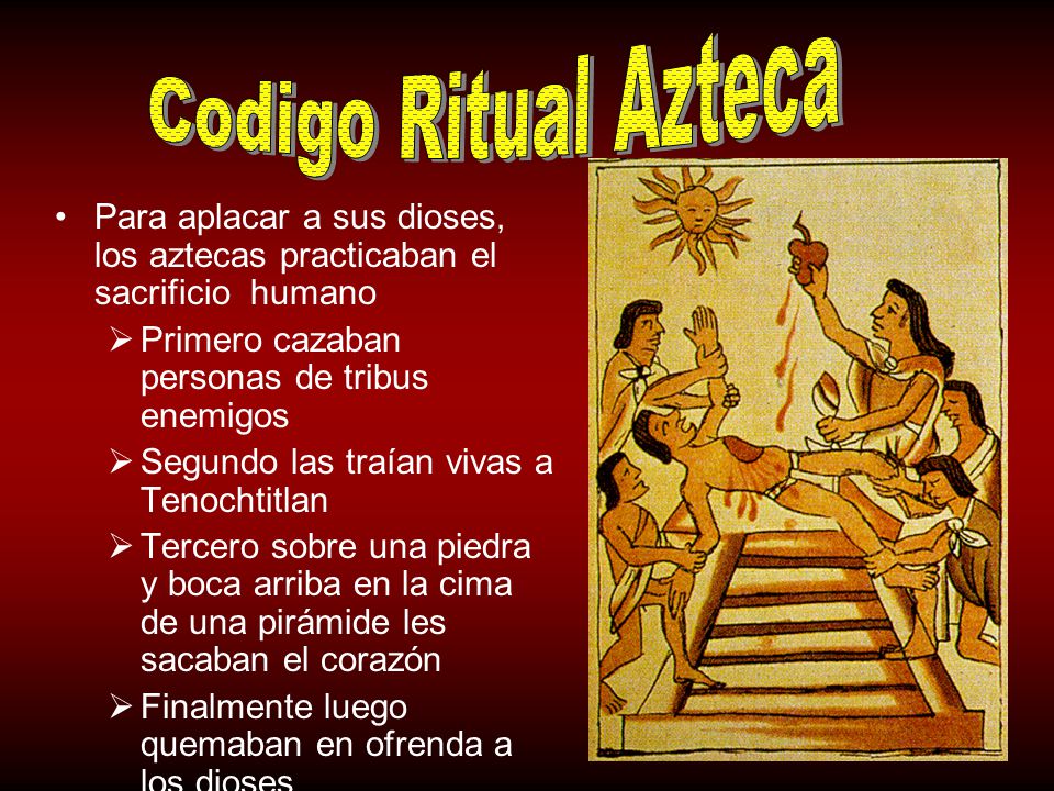 Codigo Ritual Azteca Para aplacar a sus dioses, los aztecas practicaban el sacrificio humano. Primero cazaban personas de tribus enemigos.