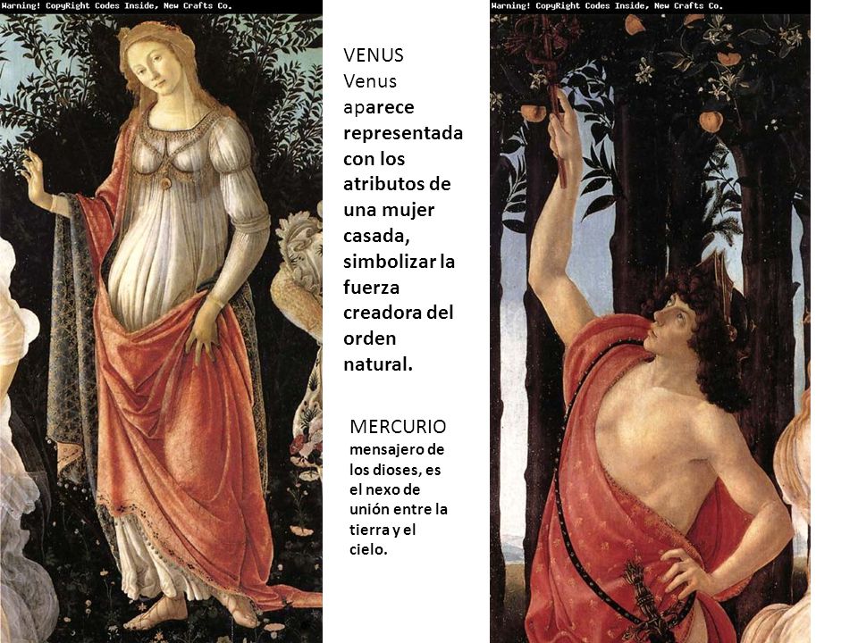 VENUS Venus aparece representada con los atributos de una mujer casada, simbolizar la fuerza creadora del orden natural.