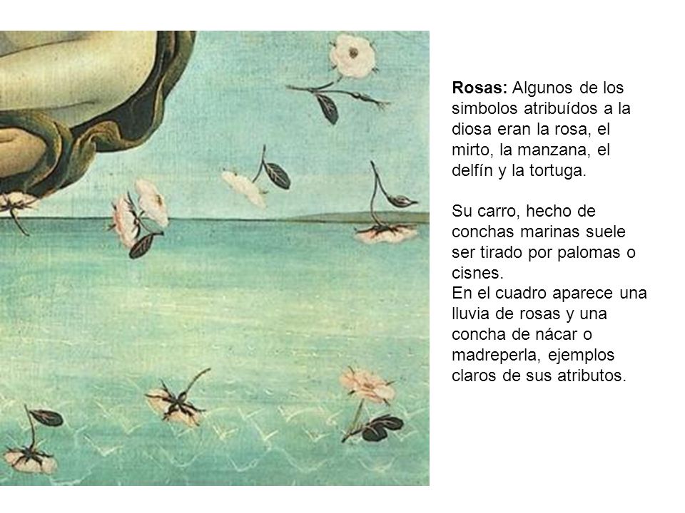 Rosas: Algunos de los simbolos atribuídos a la diosa eran la rosa, el mirto, la manzana, el delfín y la tortuga.