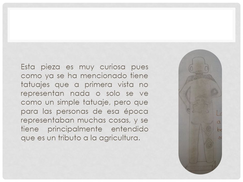 Esta pieza es muy curiosa pues como ya se ha mencionado tiene tatuajes que a primera vista no representan nada o solo se ve como un simple tatuaje, pero que para las personas de esa época representaban muchas cosas, y se tiene principalmente entendido que es un tributo a la agricultura.