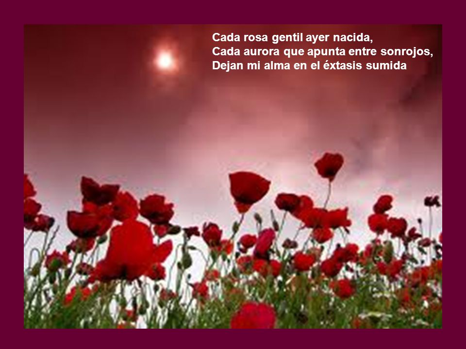 Cada rosa gentil ayer nacida, Cada aurora que apunta entre sonrojos, Dejan mi alma en el éxtasis sumida