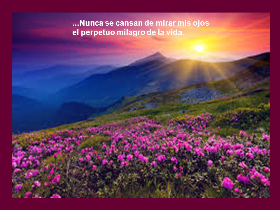 ...Nunca se cansan de mirar mis ojos el perpetuo milagro de la vida.