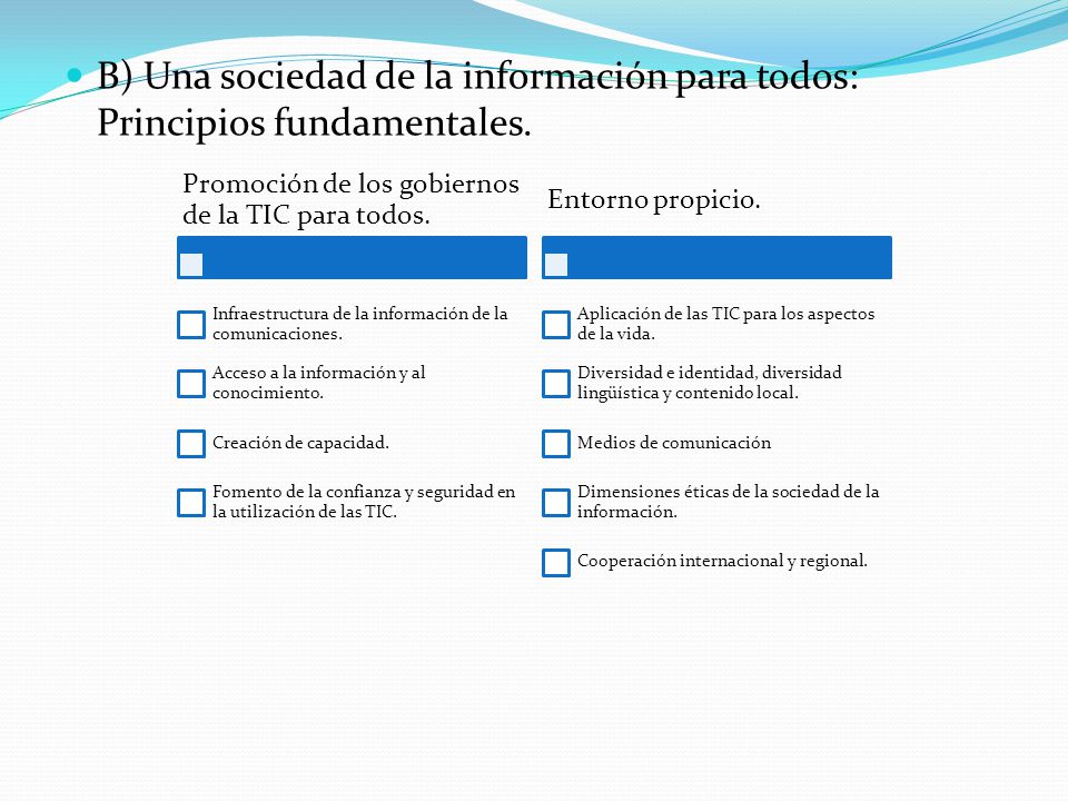 B) Una sociedad de la información para todos: Principios fundamentales.