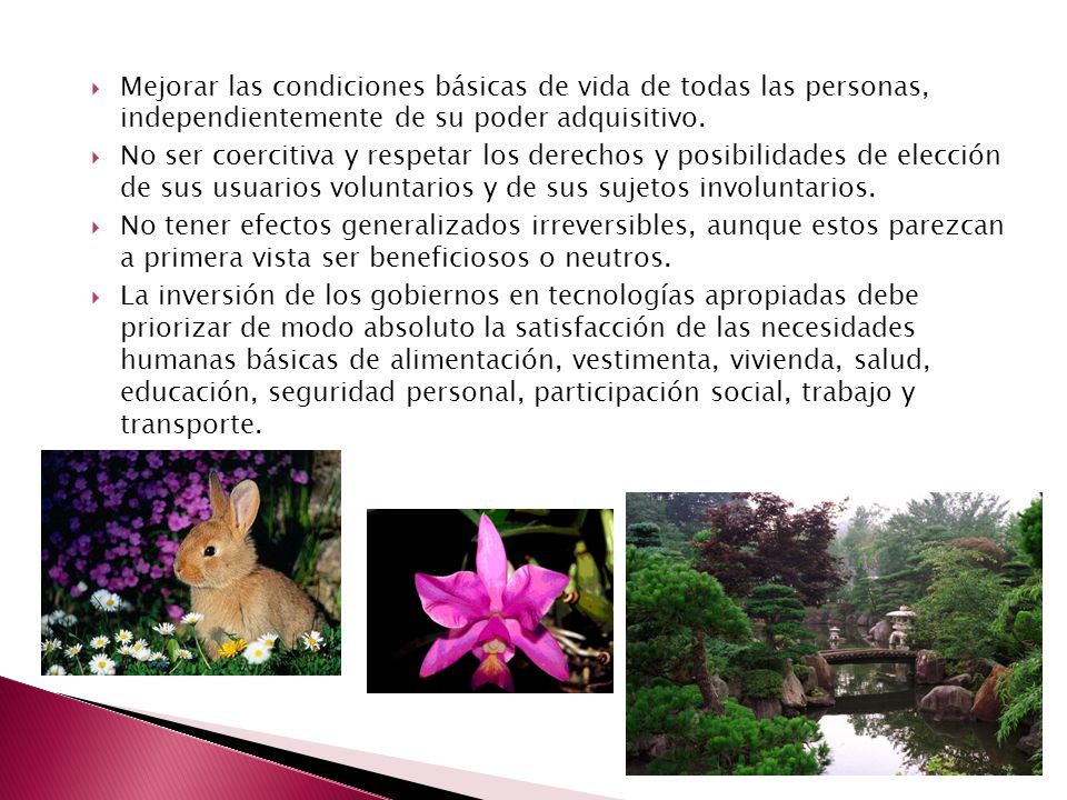 Mejorar las condiciones básicas de vida de todas las personas, independientemente de su poder adquisitivo.