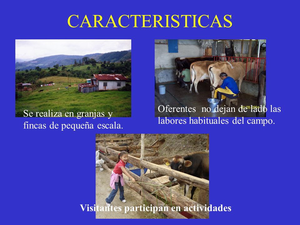 CARACTERISTICAS Oferentes no dejan de lado las labores habituales del campo. Se realiza en granjas y fincas de pequeña escala.