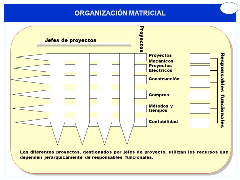 ORGANIZACIÓN MATRICIAL