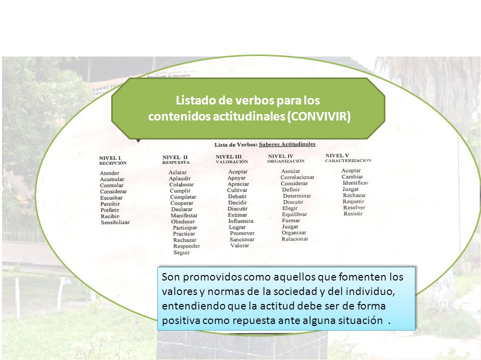 Listado de verbos para los contenidos actitudinales (CONVIVIR)