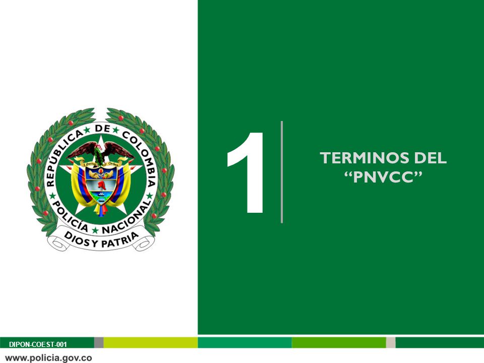 1 TERMINOS DEL PNVCC Plantilla de estilo contenido por capítulos