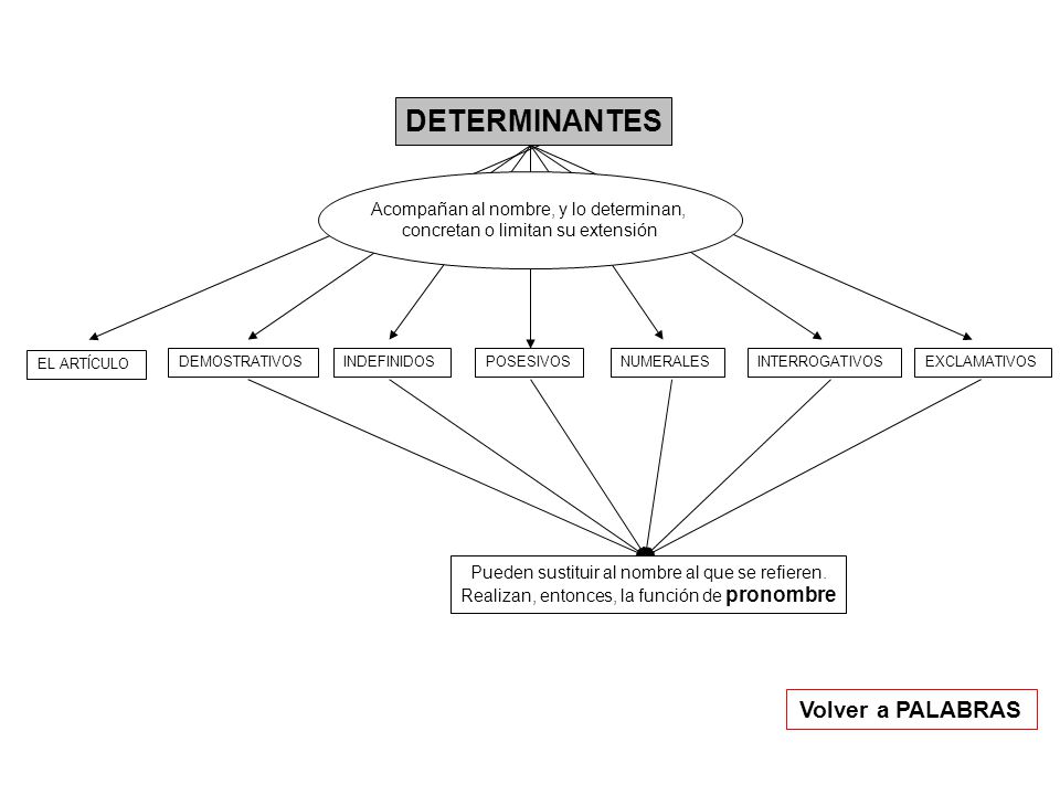 DETERMINANTES Volver a PALABRAS Acompañan al nombre, y lo determinan,