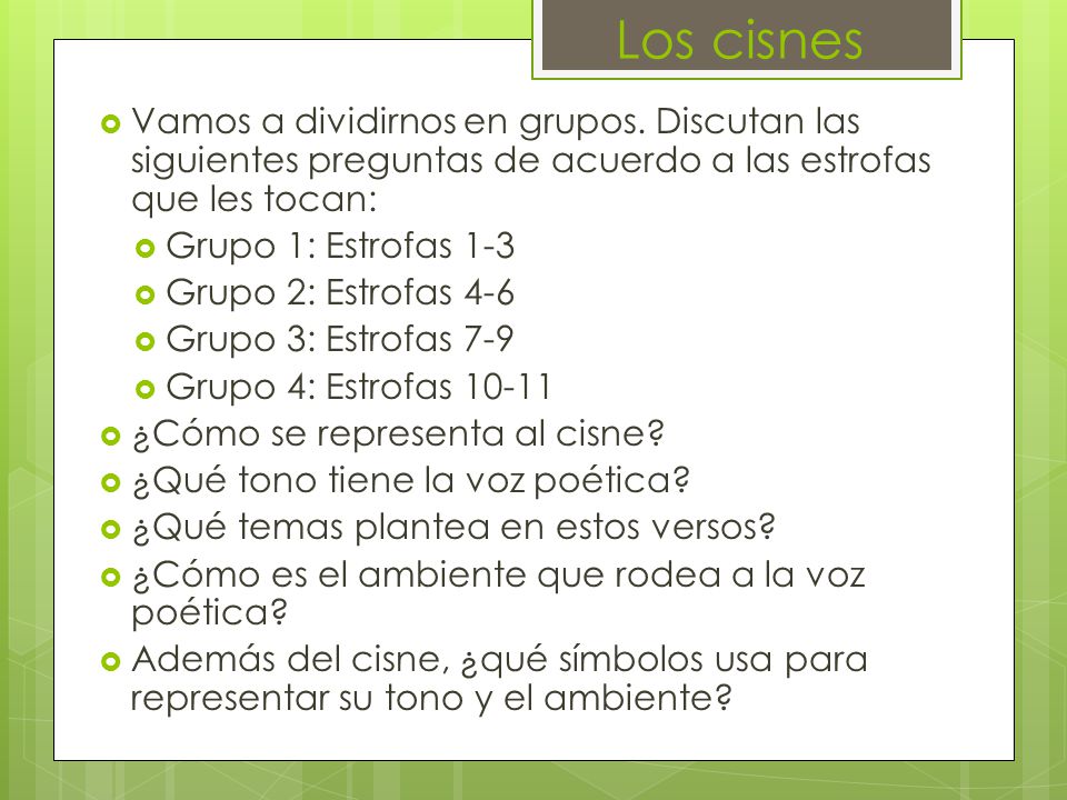 Los cisnes Vamos a dividirnos en grupos. Discutan las siguientes preguntas de acuerdo a las estrofas que les tocan: