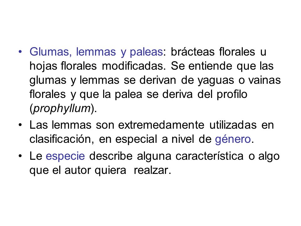 Glumas, lemmas y paleas: brácteas florales u hojas florales modificadas. Se entiende que las glumas y lemmas se derivan de yaguas o vainas florales y que la palea se deriva del profilo (prophyllum).