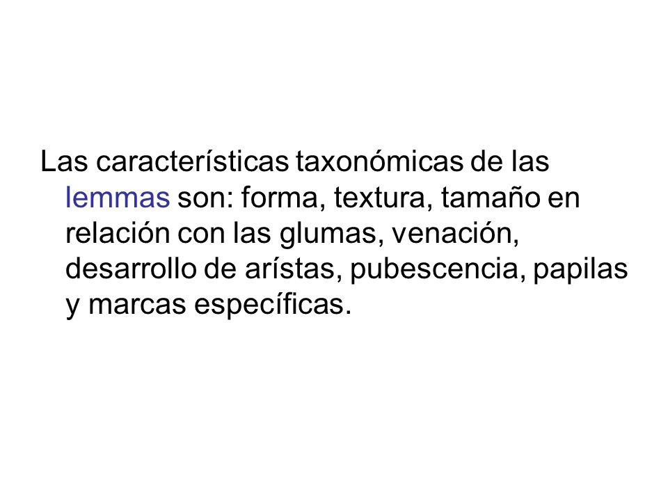 Las características taxonómicas de las lemmas son: forma, textura, tamaño en relación con las glumas, venación, desarrollo de arístas, pubescencia, papilas y marcas específicas.