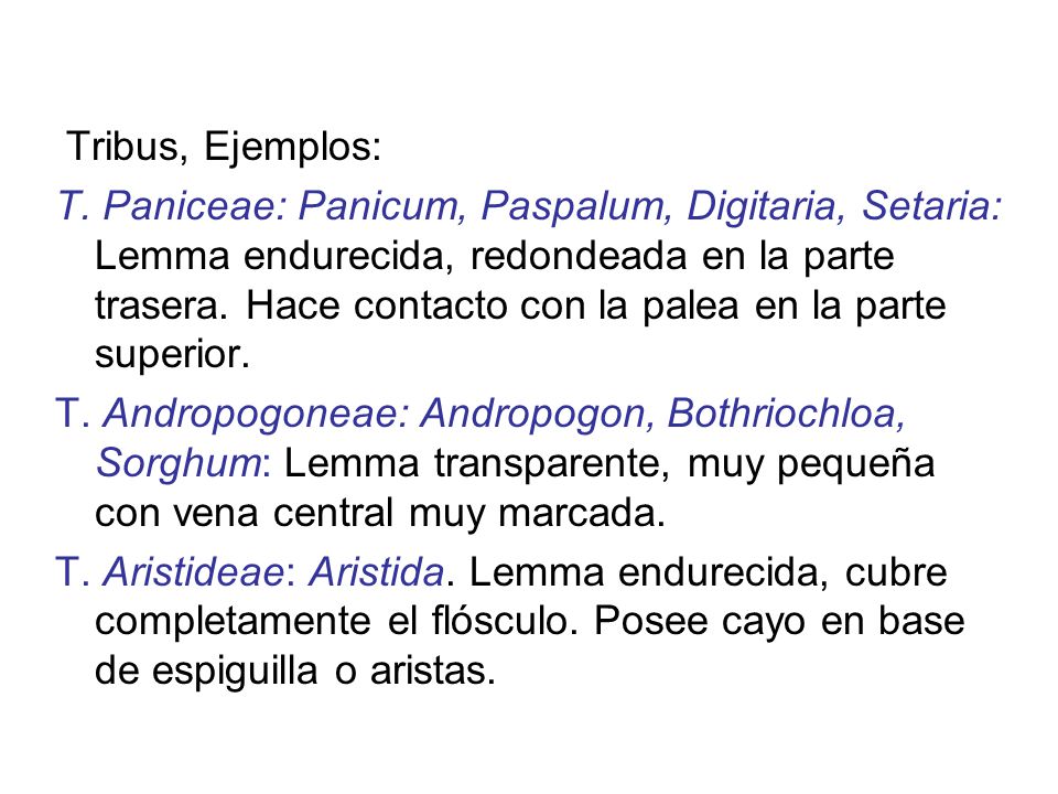 Tribus, Ejemplos: