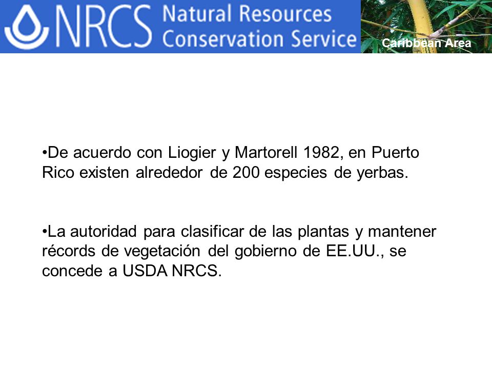 Caribbean Area De acuerdo con Liogier y Martorell 1982, en Puerto Rico existen alrededor de 200 especies de yerbas.
