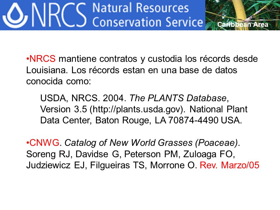 Caribbean Area NRCS mantiene contratos y custodia los récords desde Louisiana. Los récords estan en una base de datos conocida como: