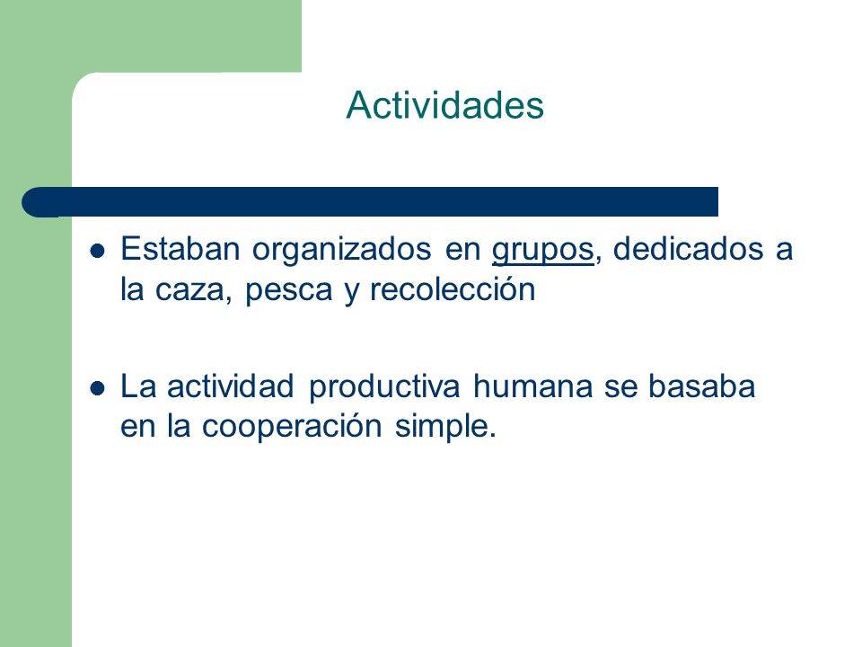 Actividades Estaban organizados en grupos, dedicados a la caza, pesca y recolección.