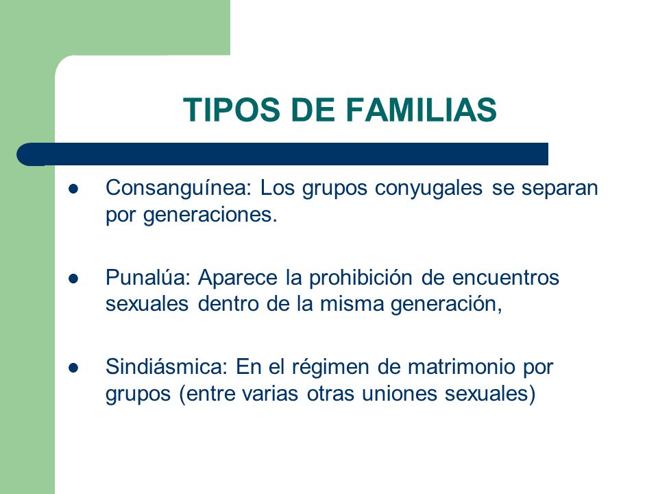 TIPOS DE FAMILIAS Consanguínea: Los grupos conyugales se separan por generaciones.