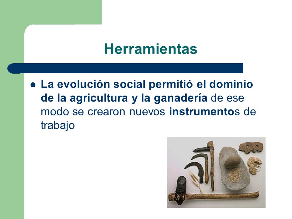 Herramientas La evolución social permitió el dominio de la agricultura y la ganadería de ese modo se crearon nuevos instrumentos de trabajo.