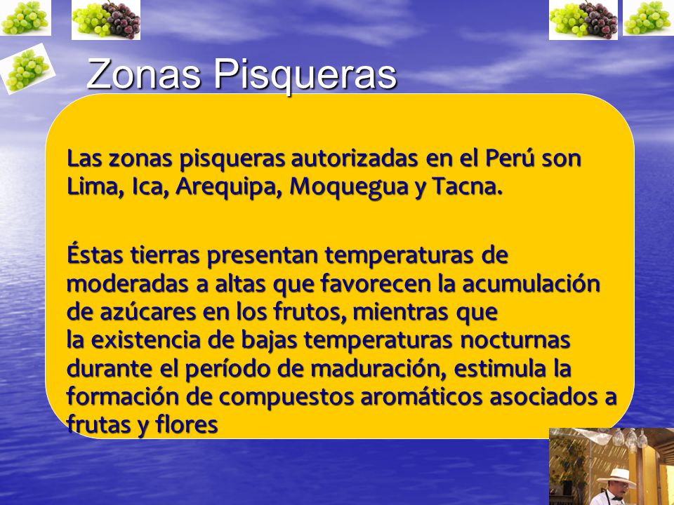 Zonas Pisqueras Las zonas pisqueras autorizadas en el Perú son Lima, Ica, Arequipa, Moquegua y Tacna.
