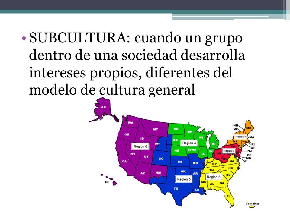 SUBCULTURA: cuando un grupo dentro de una sociedad desarrolla intereses propios, diferentes del modelo de cultura general