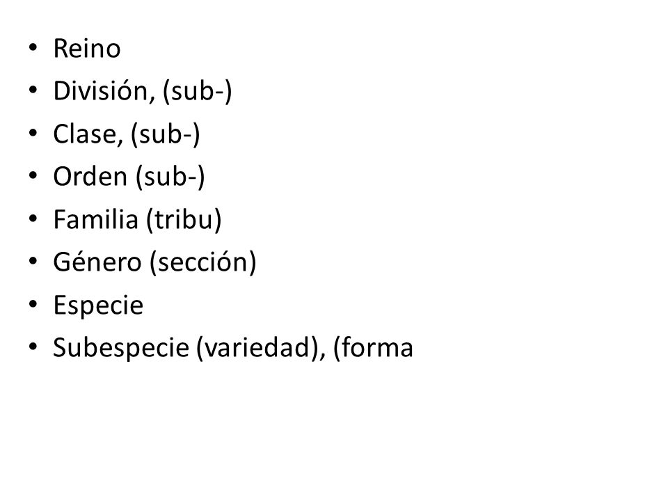 Reino División, (sub-) Clase, (sub-) Orden (sub-) Familia (tribu) Género (sección) Especie.