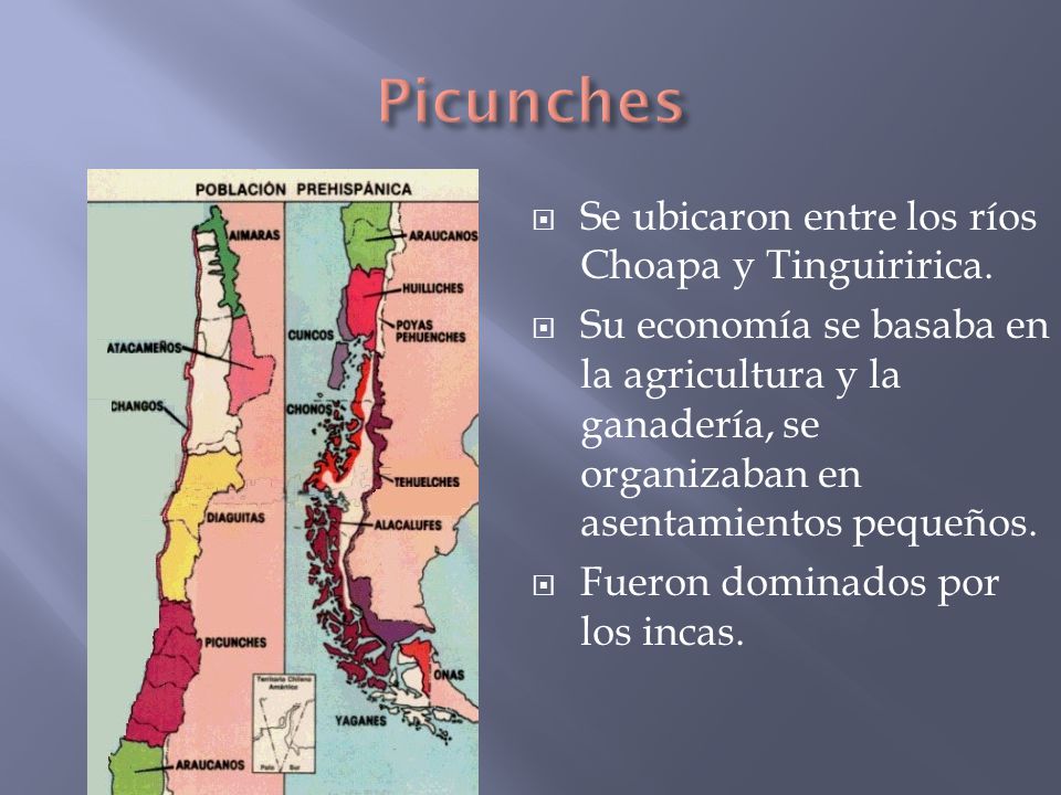 Picunches Se ubicaron entre los ríos Choapa y Tinguiririca.