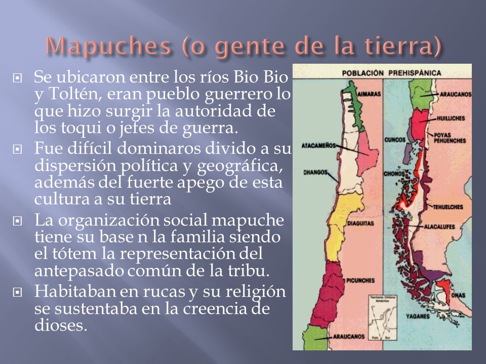 Mapuches (o gente de la tierra)