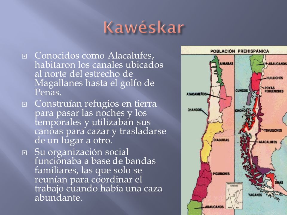 Kawéskar Conocidos como Alacalufes, habitaron los canales ubicados al norte del estrecho de Magallanes hasta el golfo de Penas.