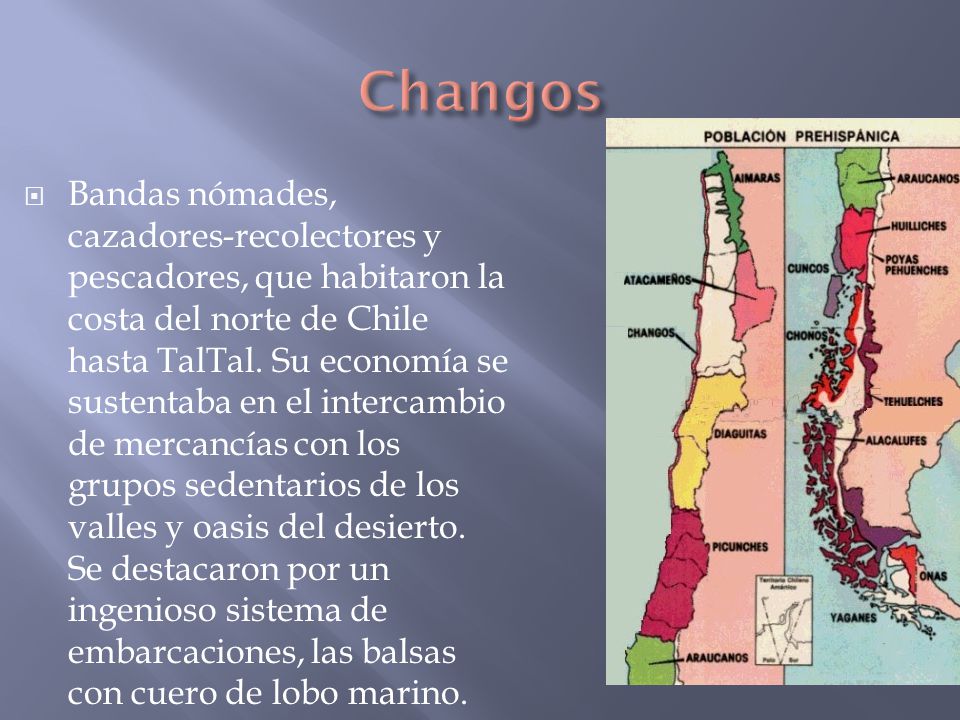 Changos