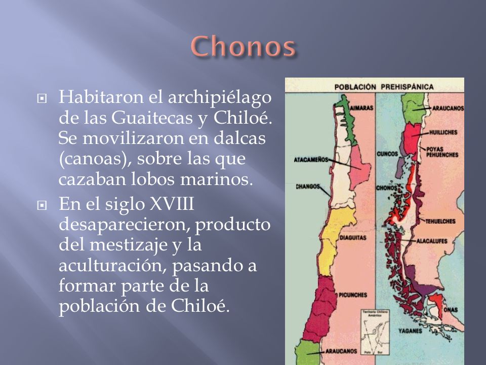 Chonos Habitaron el archipiélago de las Guaitecas y Chiloé. Se movilizaron en dalcas (canoas), sobre las que cazaban lobos marinos.
