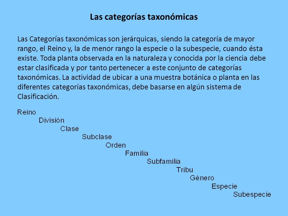 Las categorías taxonómicas Las Categorías taxonómicas son jerárquicas, siendo la categoría de mayor rango, el Reino y, la de menor rango la especie o la subespecie, cuando ésta existe.