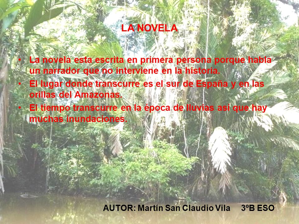 LA NOVELA La novela esta escrita en primera persona porque habla un narrador que no interviene en la historia.