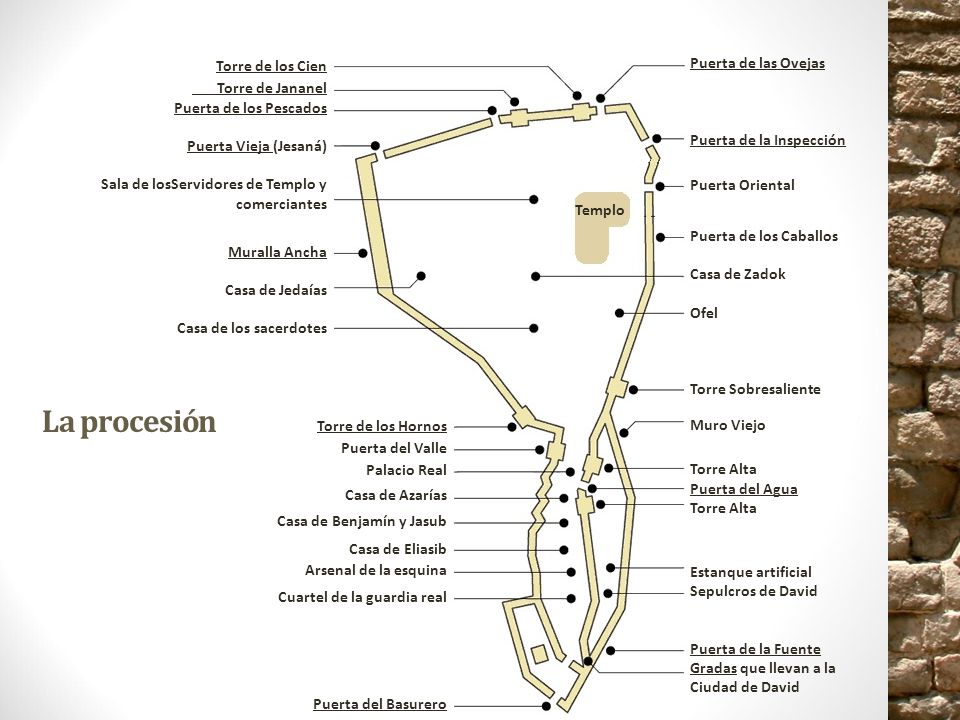 La procesión Casa de Benjamín y Jasub Torre de Jananel