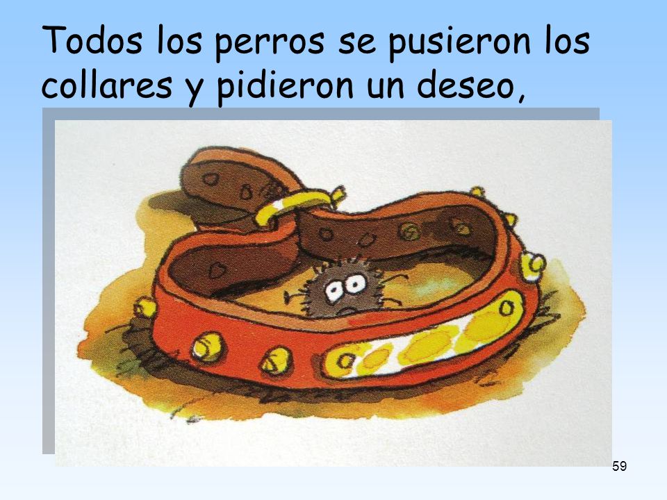 Todos los perros se pusieron los collares y pidieron un deseo,