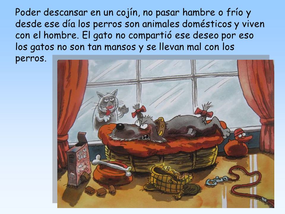 Poder descansar en un cojín, no pasar hambre o frío y desde ese día los perros son animales domésticos y viven con el hombre.