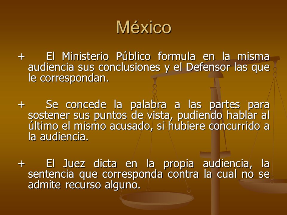 México + El Ministerio Público formula en la misma audiencia sus conclusiones y el Defensor las que le correspondan.
