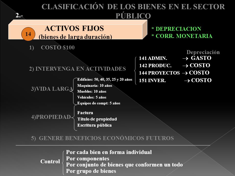 CLASIFICACIÓN DE LOS BIENES EN EL SECTOR PÚBLICO ACTIVOS FIJOS