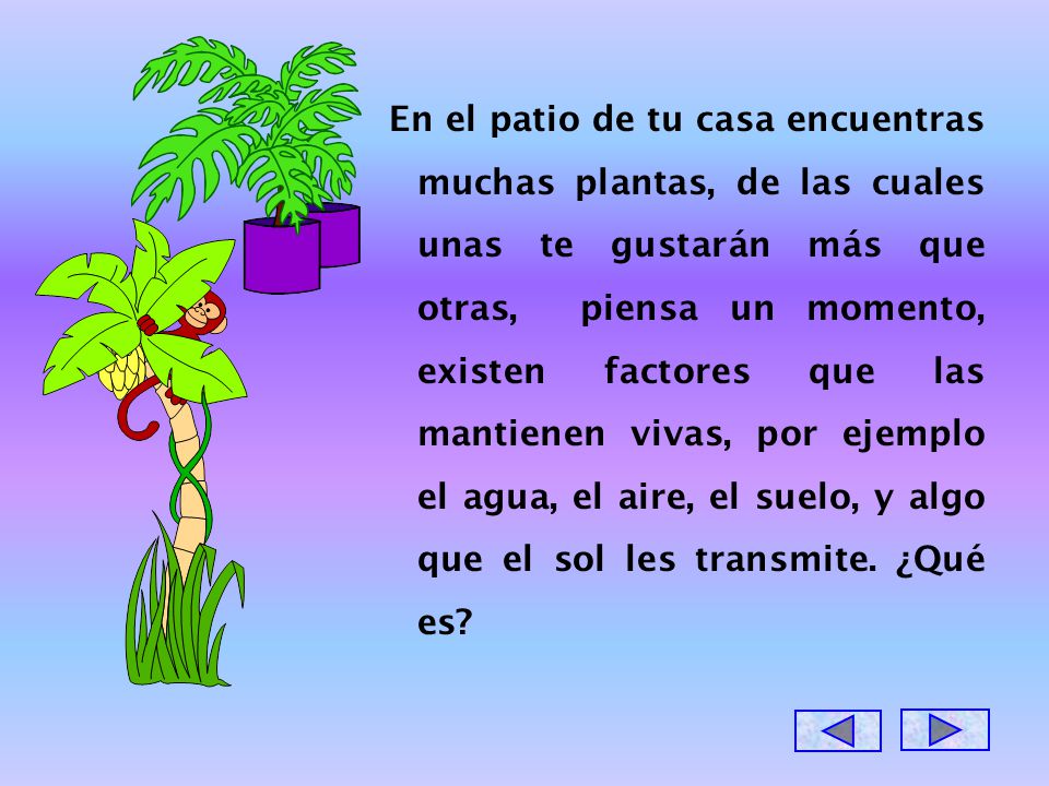 En el patio de tu casa encuentras muchas plantas, de las cuales unas te gustarán más que otras, piensa un momento, existen factores que las mantienen vivas, por ejemplo el agua, el aire, el suelo, y algo que el sol les transmite.