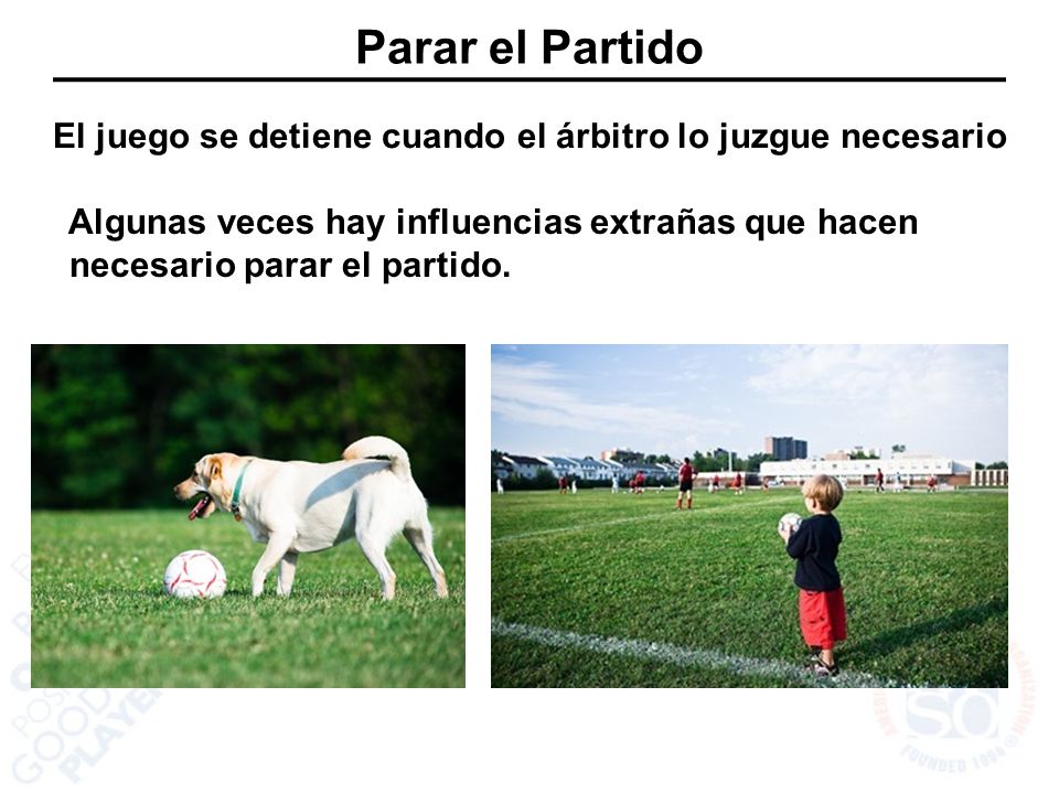 El juego se detiene cuando el árbitro lo juzgue necesario