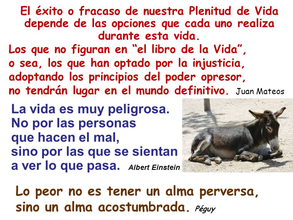 La vida es muy peligrosa. No por las personas que hacen el mal,