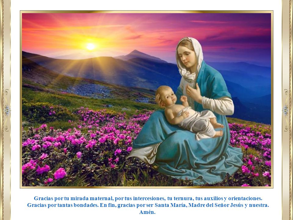 Gracias por tu mirada maternal, por tus intercesiones, tu ternura, tus auxilios y orientaciones.