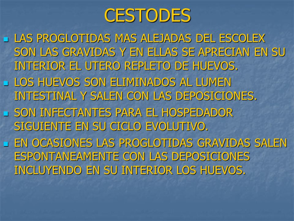 CESTODES LAS PROGLOTIDAS MAS ALEJADAS DEL ESCOLEX SON LAS GRAVIDAS Y EN ELLAS SE APRECIAN EN SU INTERIOR EL UTERO REPLETO DE HUEVOS.