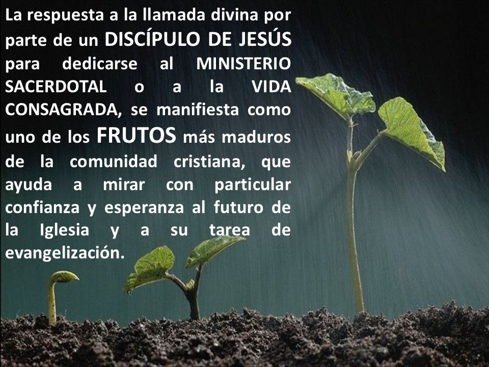 La respuesta a la llamada divina por parte de un DISCÍPULO DE JESÚS para dedicarse al MINISTERIO SACERDOTAL o a la VIDA CONSAGRADA, se manifiesta como uno de los FRUTOS más maduros de la comunidad cristiana, que ayuda a mirar con particular confianza y esperanza al futuro de la Iglesia y a su tarea de evangelización.